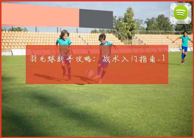 羽毛球新手攻略：战术入门指南_1