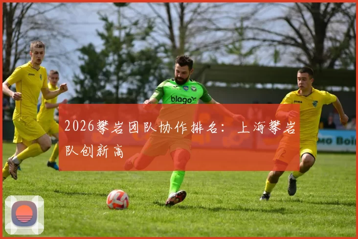 2026攀岩团队协作排名：上海攀岩队创新高